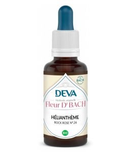 Hélianthème (Rock Rose - N°26)